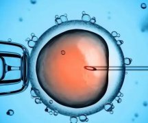 三代试管10个囊胚能筛出几个,附机构名单及费用