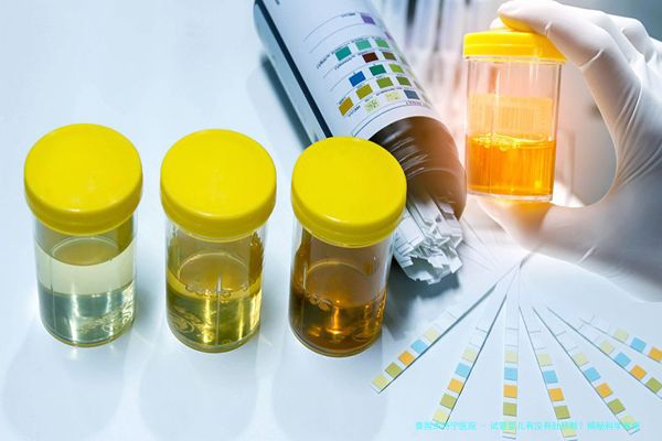 试管婴儿有没有肚脐眼？揭秘科学真相