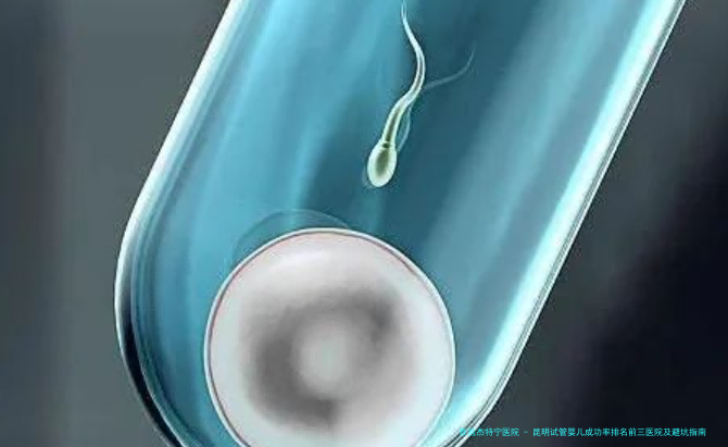 昆明试管婴儿成功率排名前三医院及避坑指南：过来人的血泪经验分享