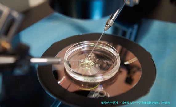 试管婴儿前一个月身体调理全攻略：5年经验分享