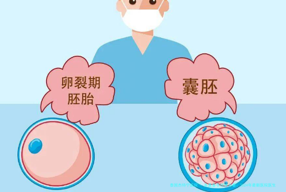 多囊备孕姐妹必看：2024年最新医院医生推荐与经验分享