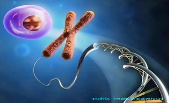 孕期体重增长：科学指南助你健康度过这九个月