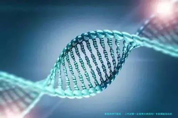 二代试管一定是男方原因吗？专家揭秘背后的真相