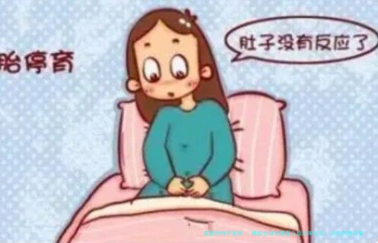 揭秘全球试管婴儿成功率之王：以色列独占鳌头