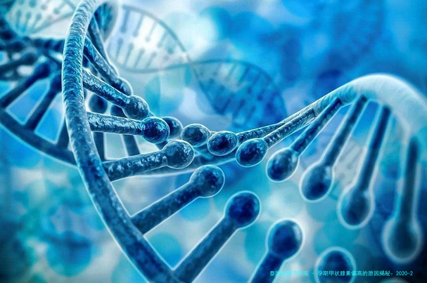 孕期甲状腺素偏高的原因揭秘：2020-2024年医学新发现与应对策略