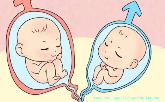 孕期肚子上长小红点怎么回事？准妈妈必看的原因与应对指南