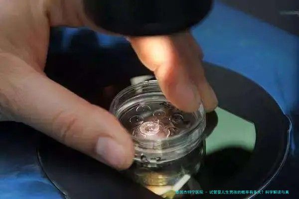 试管婴儿生男孩的概率有多大？科学解读与真实数据