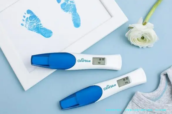 试管婴儿流程与费用全解析：2023年最新数据与实用指南
