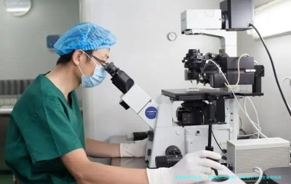 孕期能吃山楂吗？专家解析与安全食用指南