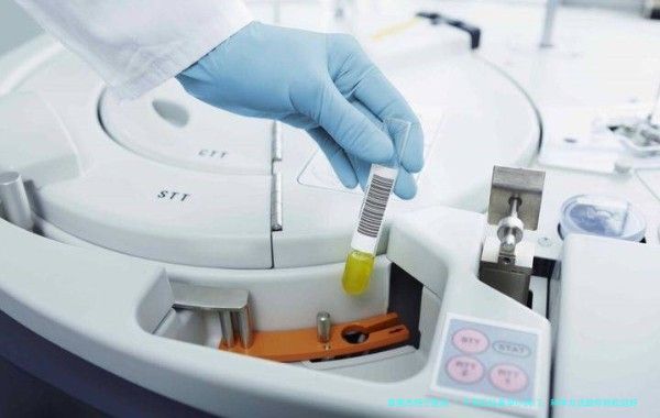 子宫后位备孕小窍门：科学方法助你轻松迎好孕
