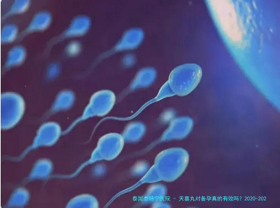天喜丸对备孕真的有效吗？2020-2025年数据深度解析