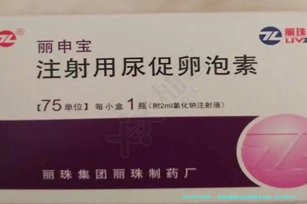 泰国试管婴儿医院地址全攻略：近5年趋势与真实体验分享