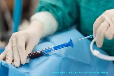 备孕几天同房一次最容易怀孕？科学解析与实用建议