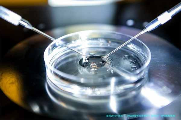 孕期肋骨疼多是男孩？别轻信！科学揭秘真相