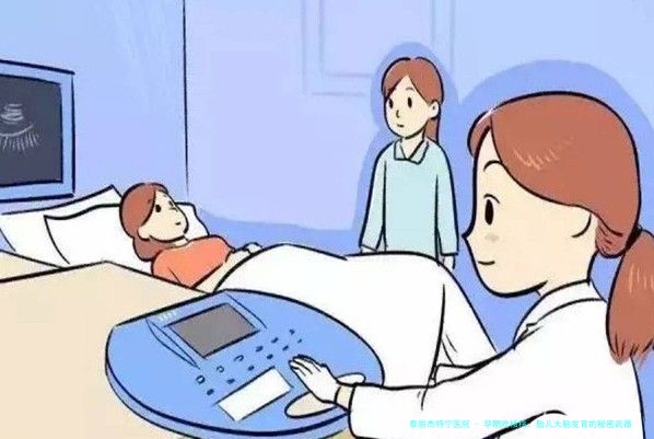 孕期吃核桃：胎儿大脑发育的秘密武器