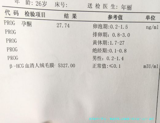 做试管婴儿到底要花多少钱？2024年最新数据与省钱攻略