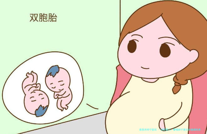 试管婴儿：警惕卵子透支的健康隐患