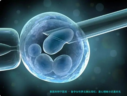 备孕女性梦见测出双杠：是心理暗示还是好兆头？