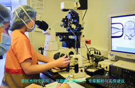 孕期能吃榴莲吗？专家解析与实用建议