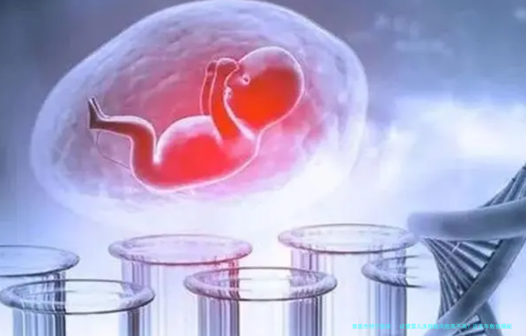 试管婴儿多胞胎风险高不高？近五年数据揭秘
