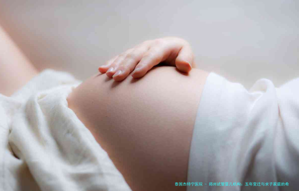 郑州试管婴儿机构：五年变迁与求子家庭的希望之路