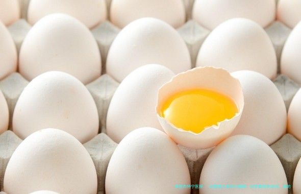 试管婴儿寿命大揭秘：科学数据告诉你，真的和普通孩子一样吗？