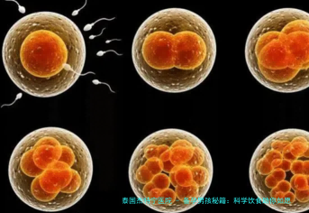 备孕男孩秘籍：科学饮食助你如愿
