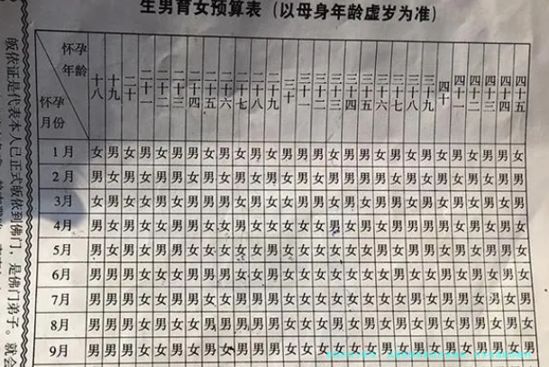 试管移植后最佳饮食指南：科学食谱助你顺利怀孕