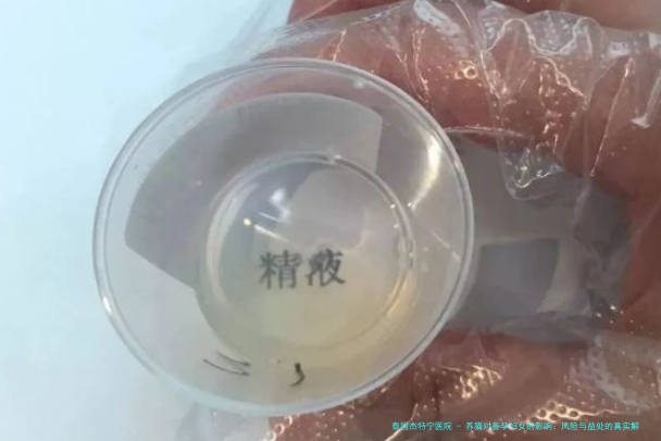 养猫对备孕妇女的影响：风险与益处的真实解读