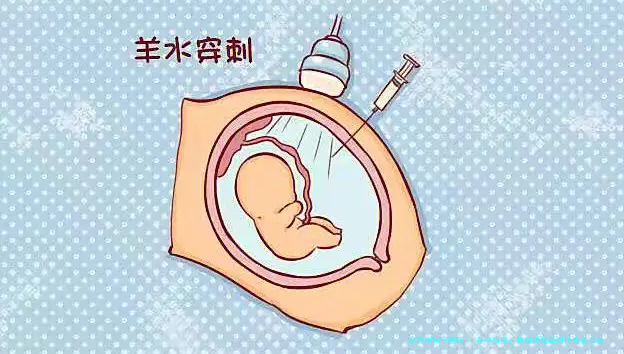 备孕指南：数据揭秘新时代生育准备