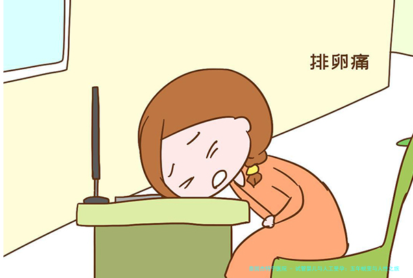 试管婴儿与人工受孕：五年蜕变与人性之旅