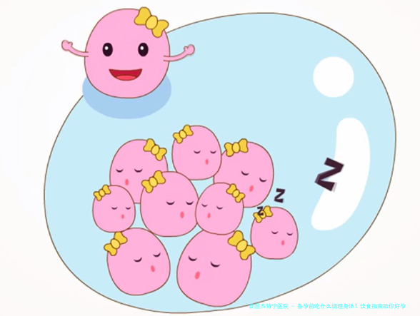 备孕前吃什么调理身体？饮食指南助你好孕