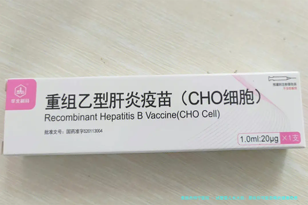 试管婴儿长大后：那些你可能忽略的健康隐患
