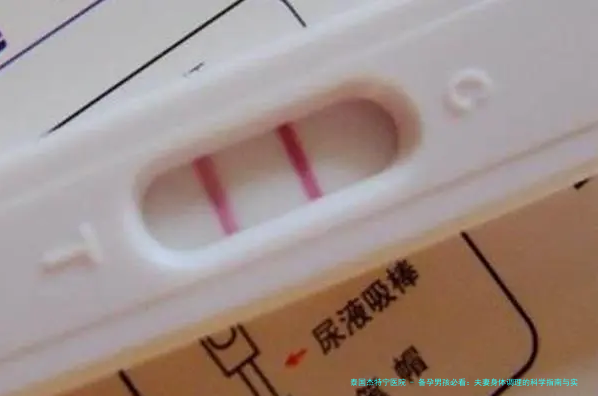 备孕男孩必看：夫妻身体调理的科学指南与实战经验
