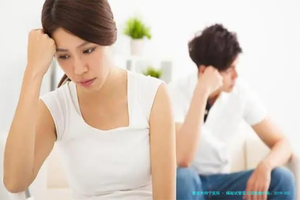 揭秘试管婴儿双胞胎价格：2019-2024年趋势与省钱攻略