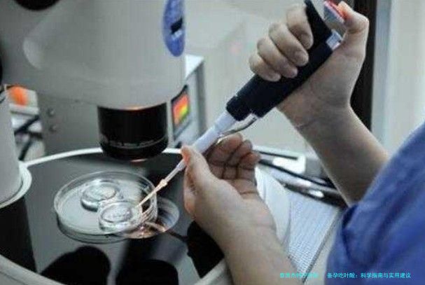 备孕吃叶酸：科学指南与实用建议