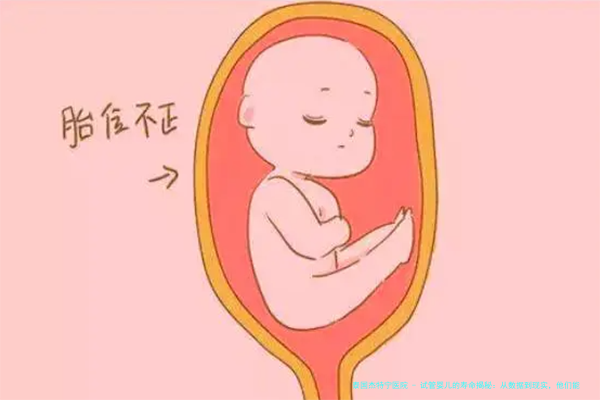 试管婴儿的寿命揭秘：从数据到现实，他们能活多久？