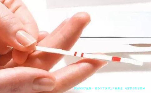备孕半年没怀上？别焦虑，专家教你科学应对策略