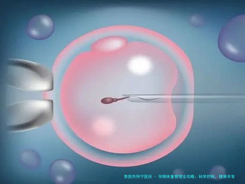 孕期体重管理全攻略：科学控制，健康孕育