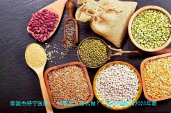试管婴儿怎么做？一步步详解与2023年最新数据分享