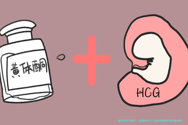 备孕吃什么？2024年最新科学饮食指南