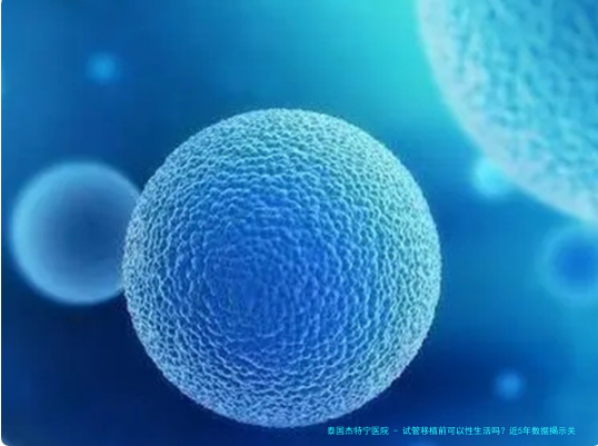 试管移植前可以性生活吗？近5年数据揭示关键建议