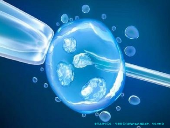 孕期性需求增加的五大原因解析：从生理到心理的全面解读