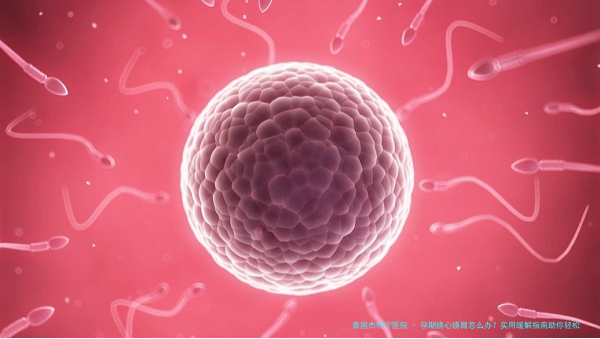 孕期烧心烧胃怎么办？实用缓解指南助你轻松应对