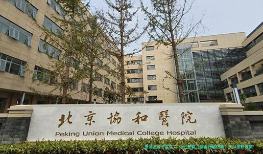 做试管婴儿需要结婚证吗？2024最新政策与真实案例解析
