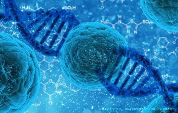 试管婴儿能选择男女吗？法律、伦理与技术的最新探讨