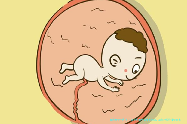 备孕前的全面准备指南：助你轻松迎接健康宝宝
