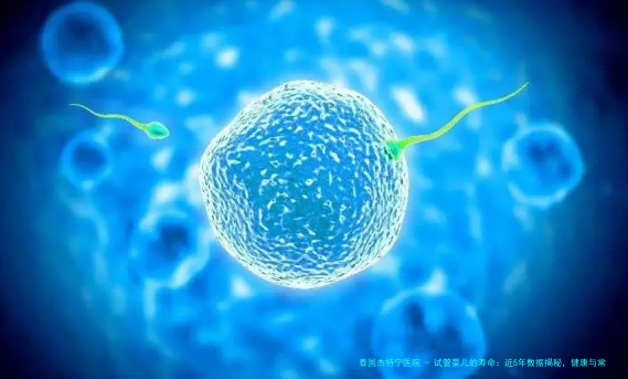 试管婴儿的寿命：近5年数据揭秘，健康与常人无异