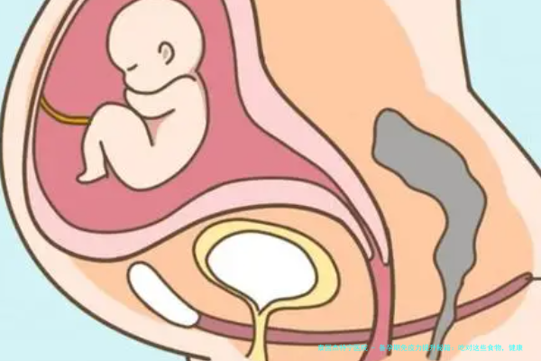 备孕期免疫力提升秘籍：吃对这些食物，健康备孕不是梦！