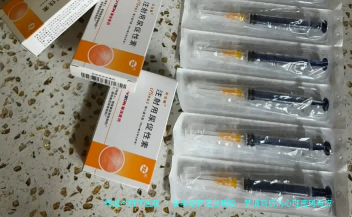 备孕期梦见被狗咬：梦境背后的心理密码与应对之道